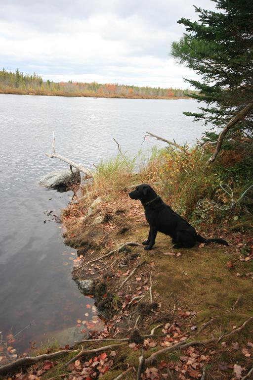 East Kemptville Trout Point Lodge Of Nova Scotia מראה חיצוני תמונה