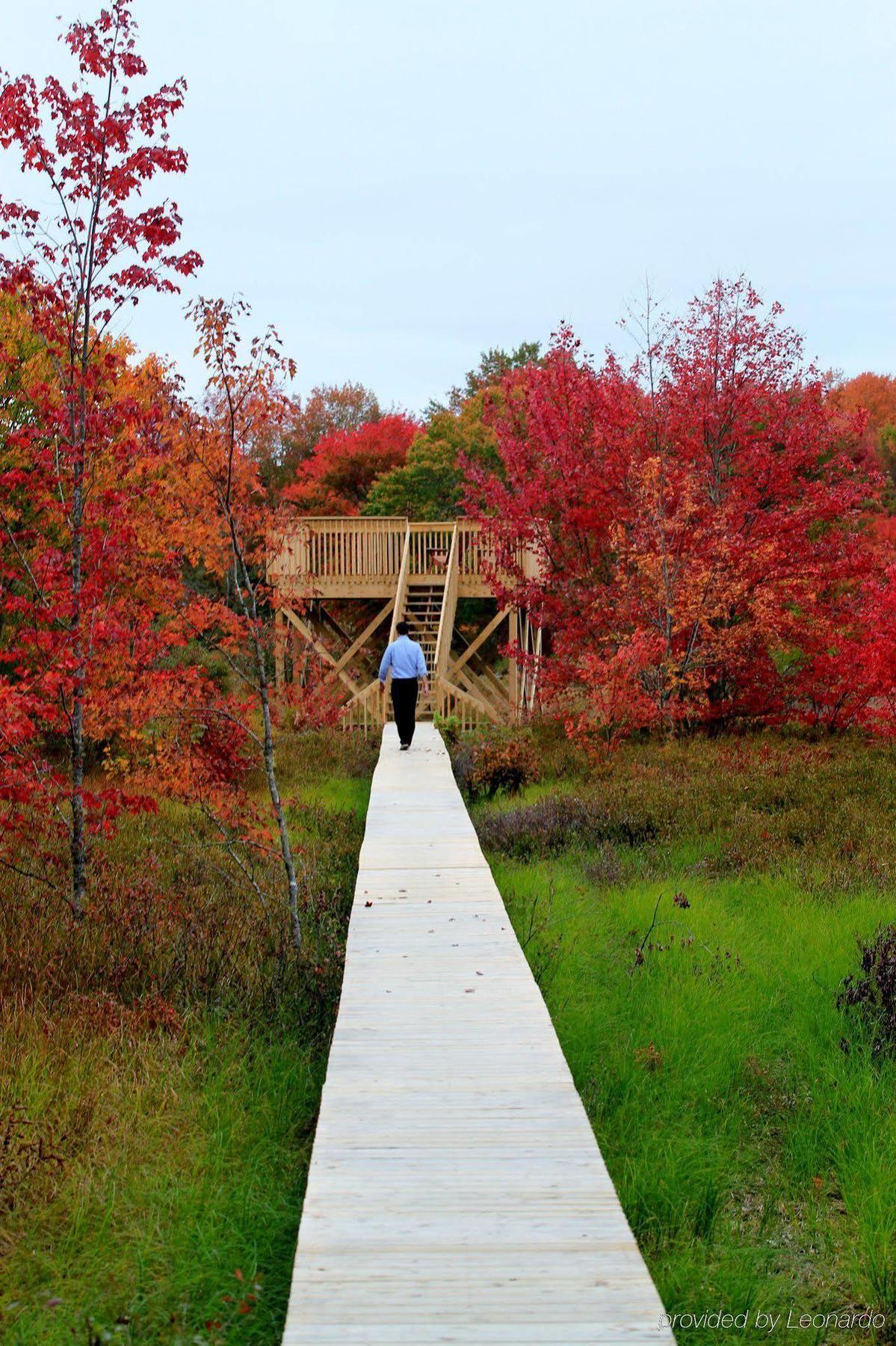 East Kemptville Trout Point Lodge Of Nova Scotia מראה חיצוני תמונה